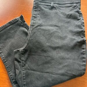 Terra & Sky Black Cropped Pants Ankle Length